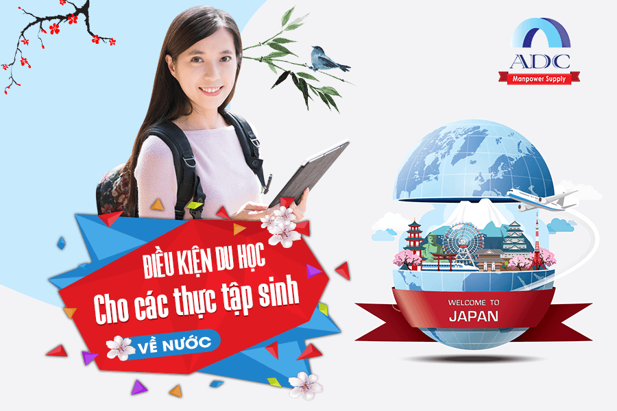 Thực tập sinh về nước muốn đi du học cần chuẩn bị gì?